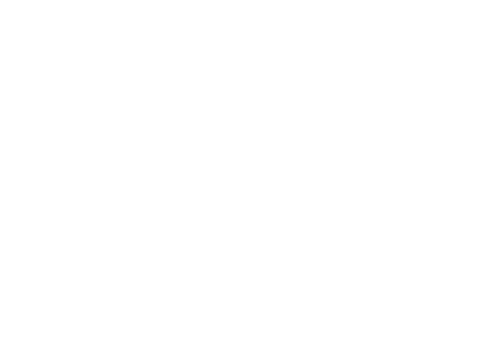 Signe Ebbesen Multimedia